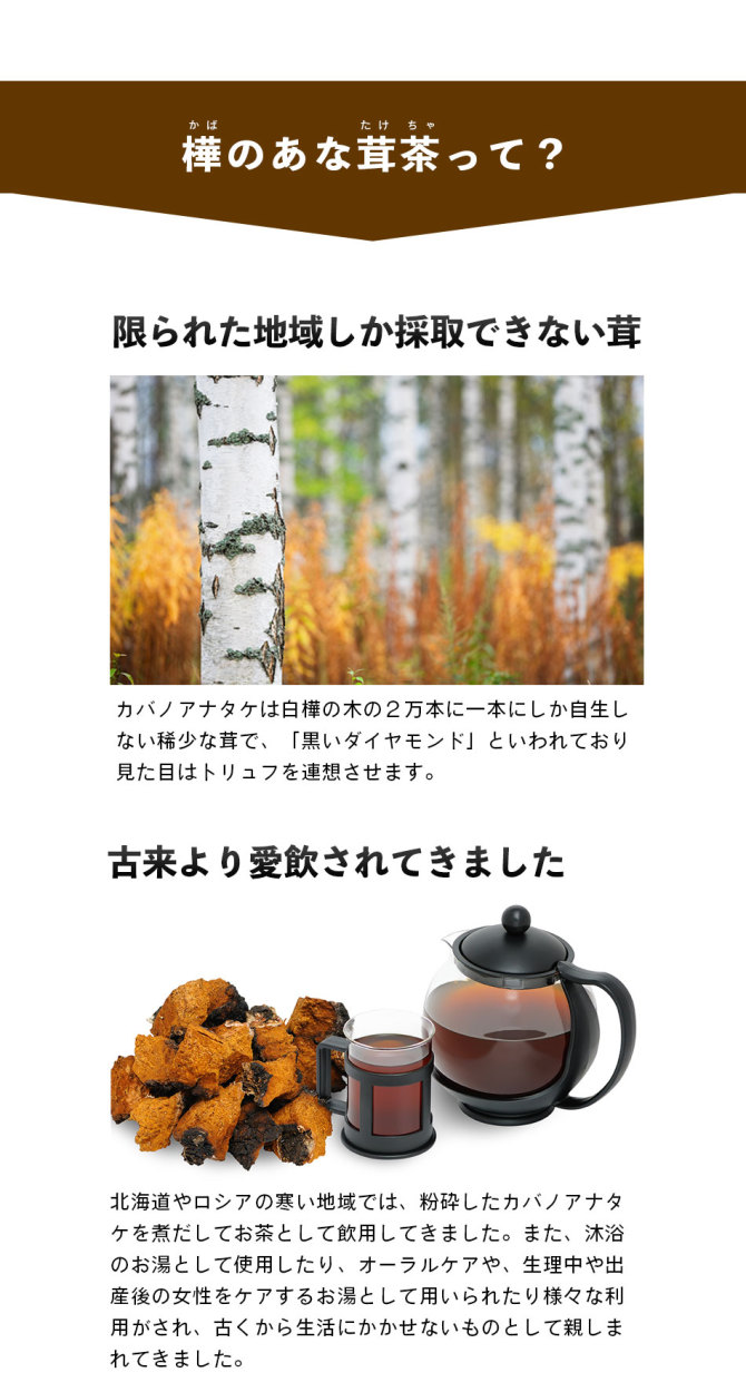 送料無料 樺のあな茸茶 1箱 1g×30包入 ティーバックタイプ チャーガ