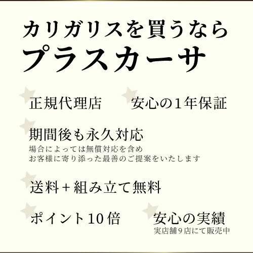 正規代理店】カリガリス ダイニングテーブル トーキョー TOKYO CS18