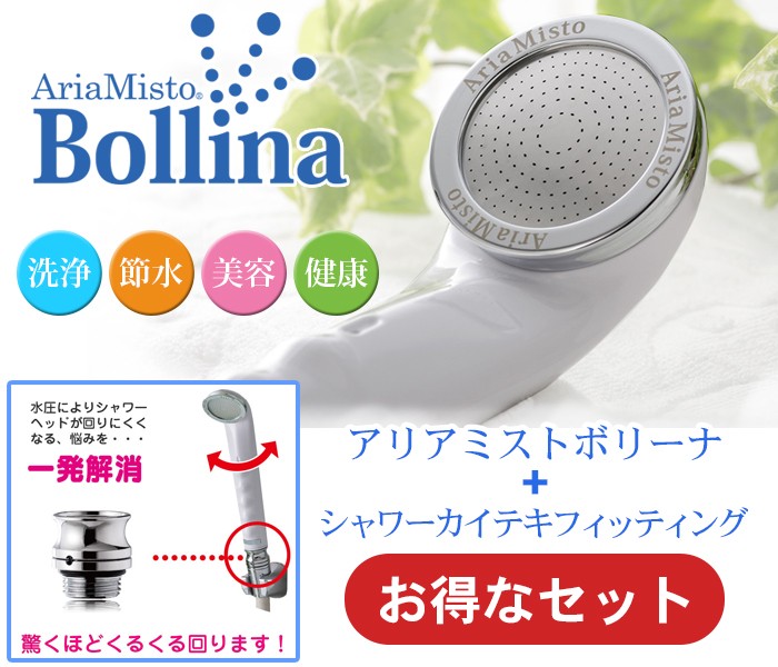 アリアミストボリーナとシャワーカイテキフィッティングのセット