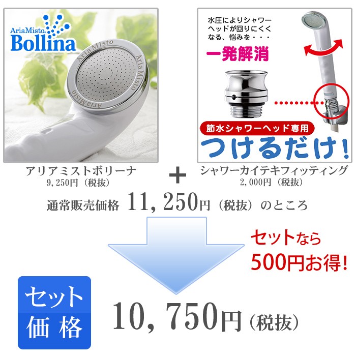 アリアミストボリーナとシャワーカイテキフィッティングのセット