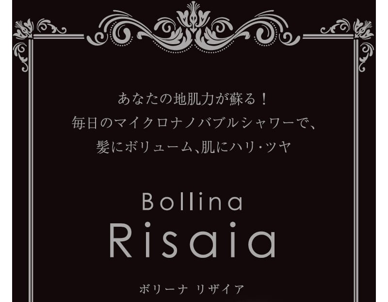 ボリーナリザイアシルバー　マイクロナノバブルシャワーヘッド 節水シャワーヘッド