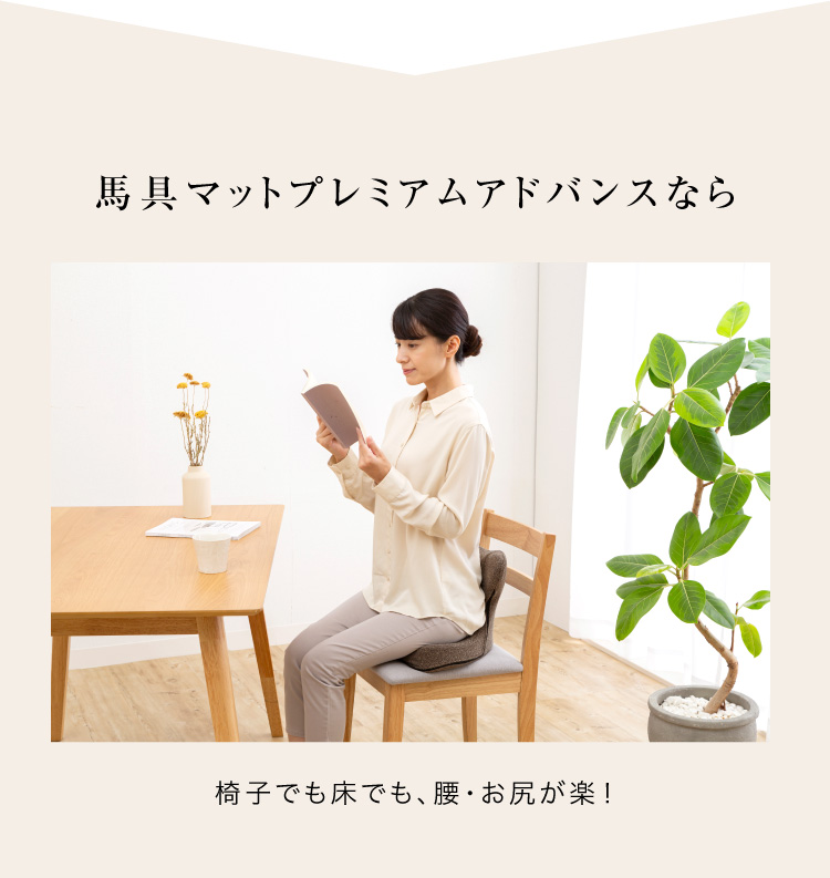 馬具マットプレミアムアドバンス 馬の鞍の形状から生まれた座椅子馬具