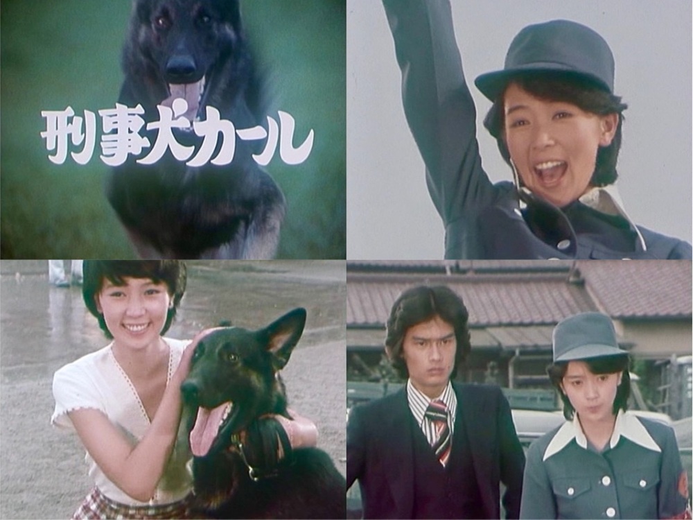 刑事犬カール コレクターズDVD 昭和の名作ライブラリー 第185集 ベスト