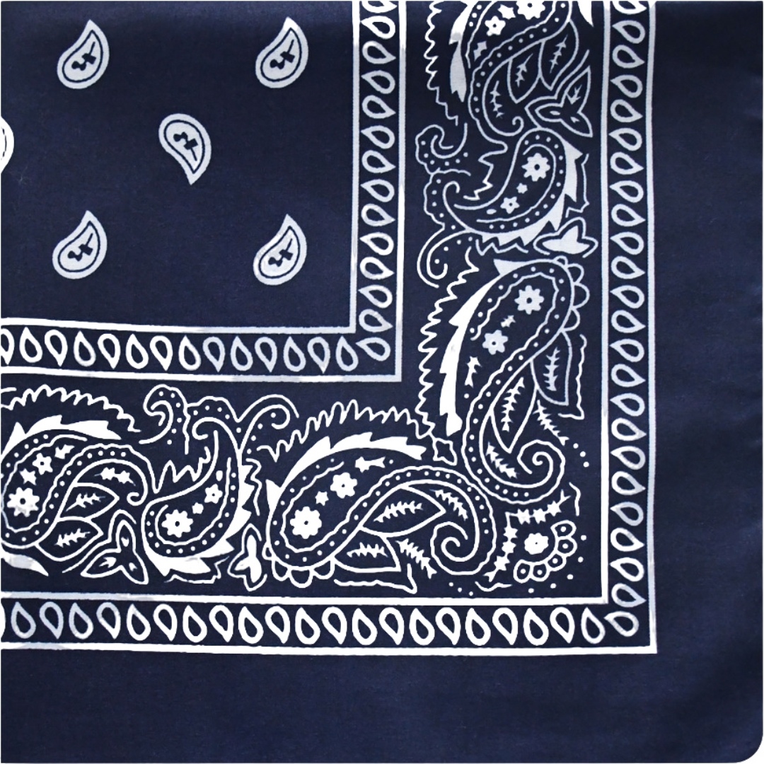 plusnao（プラスナオ） バンダナ ユニセックス メンズ 男性 レディース