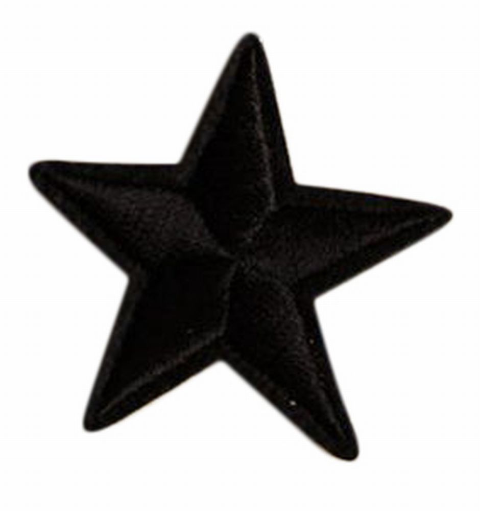 ワッペン 10個セット アップリケ 星 スター アイロン接着 手芸