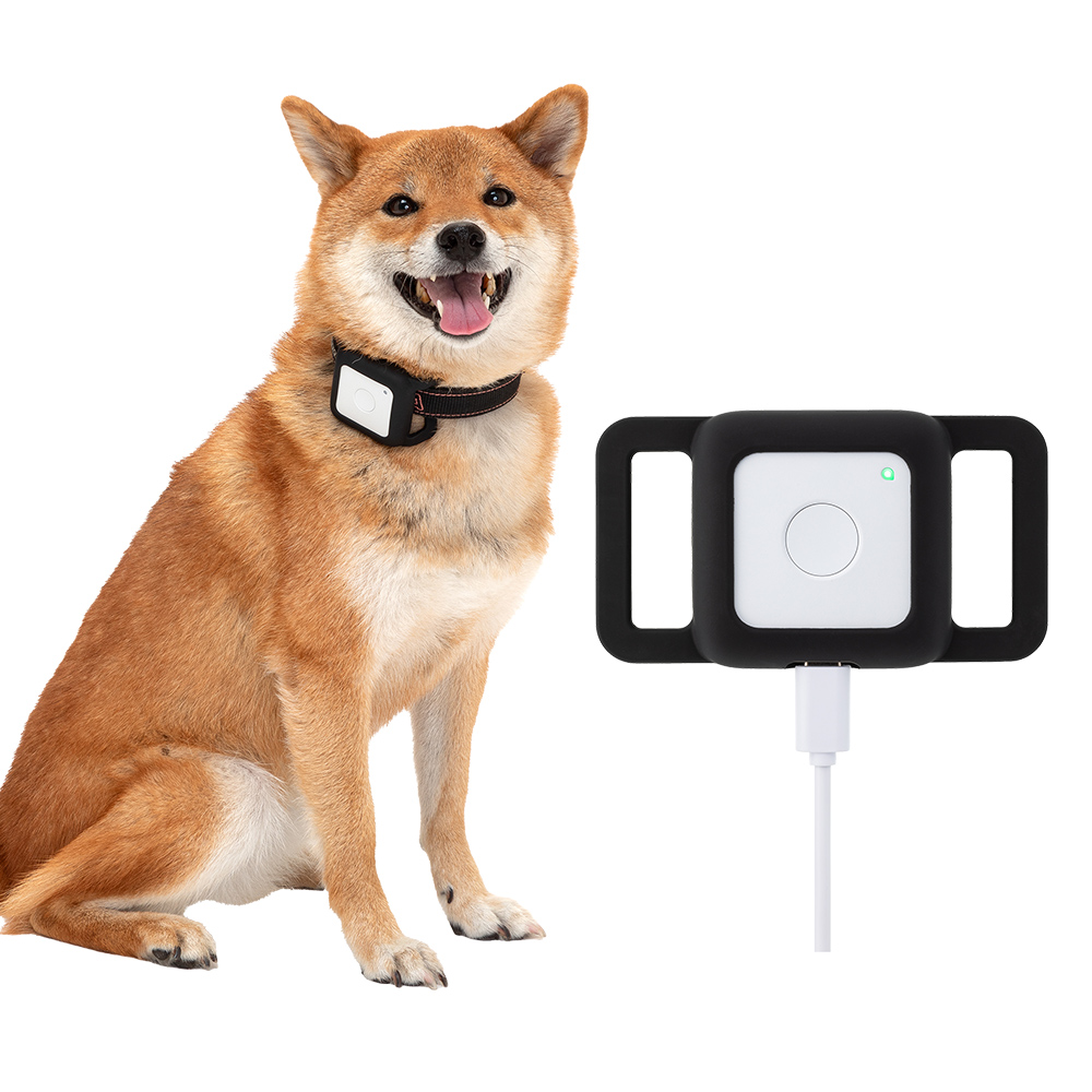 【公式】まもサーチ3 ペット用ソフトカバー 犬 猫 ペット 首輪 犬用首輪 猫用首輪 イヌ ネコ 軽量 キズ防止 耐衝撃 傷つきにくい 衝撃 吸収 スリム ポイント消化 関連画像1