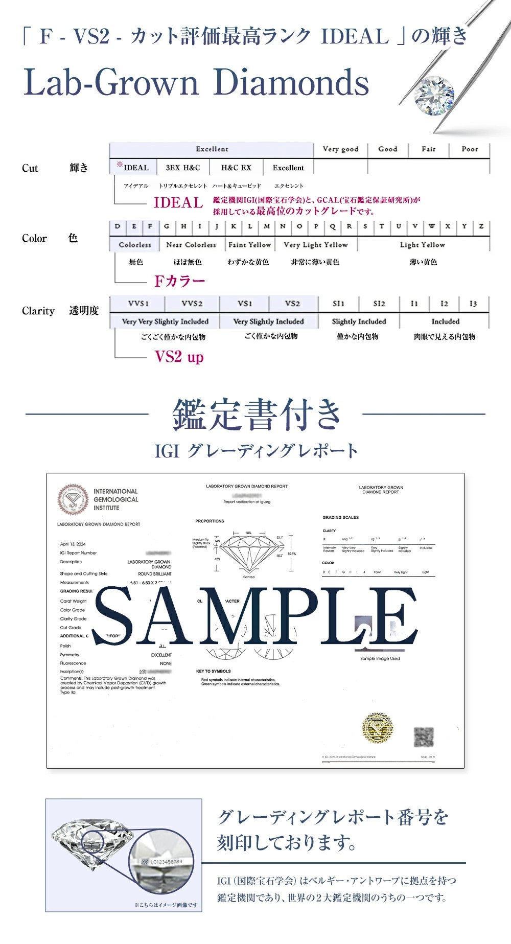 ジュエリースタジオ プラスター（Jewelry Studio PLUSTER） ラボ