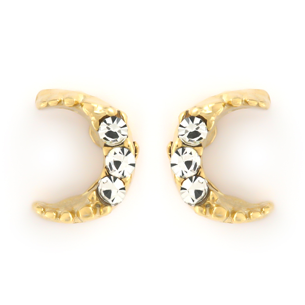 ジュエリースタジオ プラスター（Jewelry Studio PLUSTER） ピアス