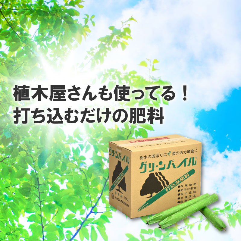 グリーンパイル ラージ 50本入 業務用 打込み肥料 肥料 栄養 養分 活力剤 樹木 庭木 植木 果樹 園芸 ガーデニング 人気 おすすめ  ジェイカムアグリ タ種 DZ :4637:農業用品販売のプラスワイズ - 通販 - Yahoo!ショッピング