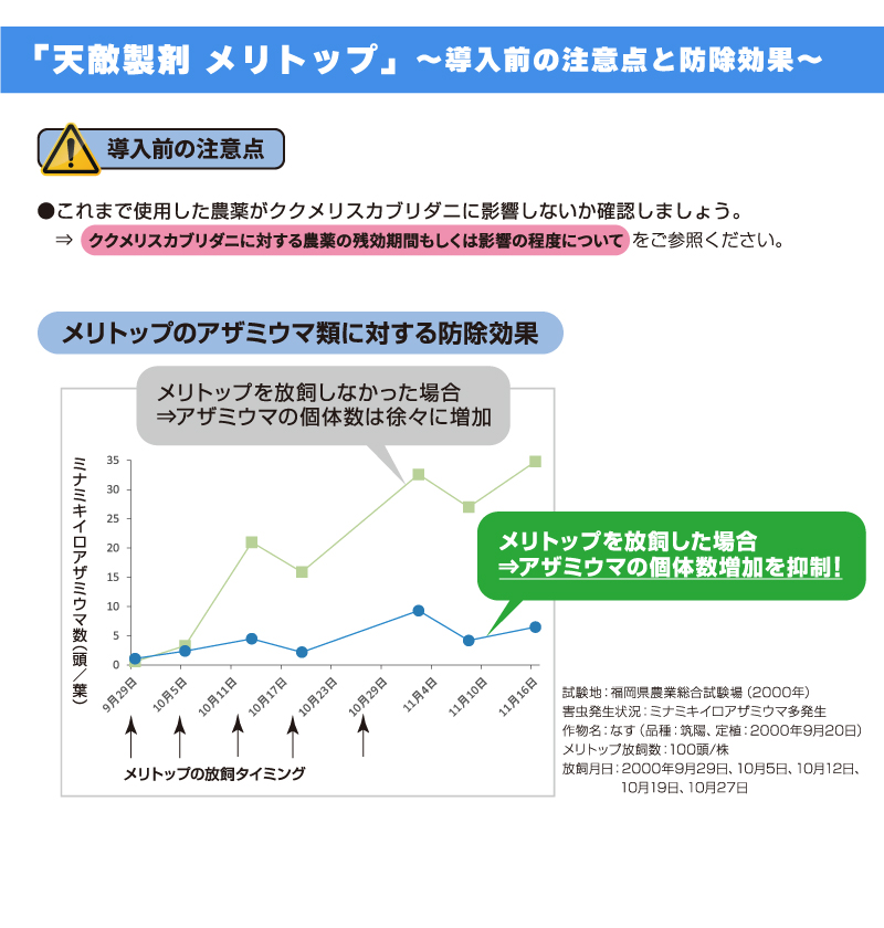 メリトップ 