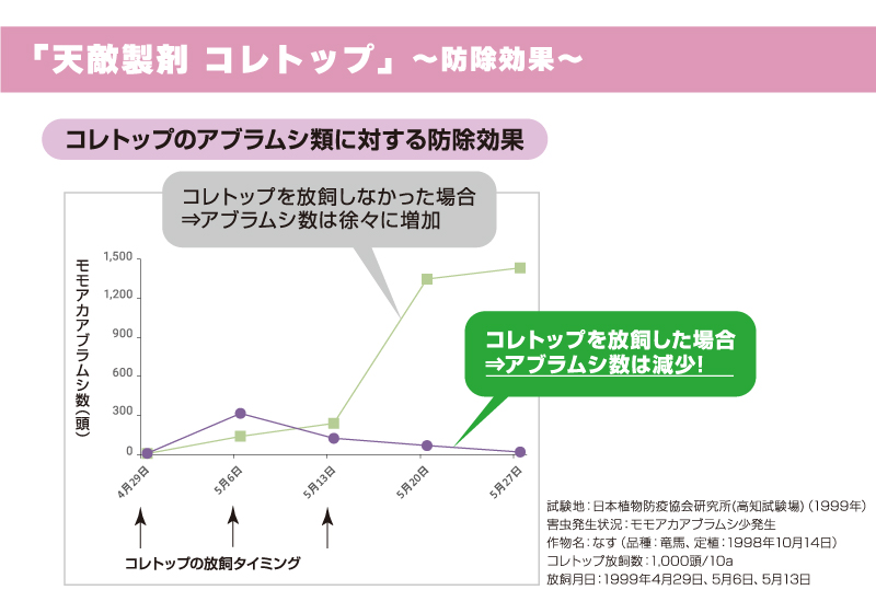 コレトップ 