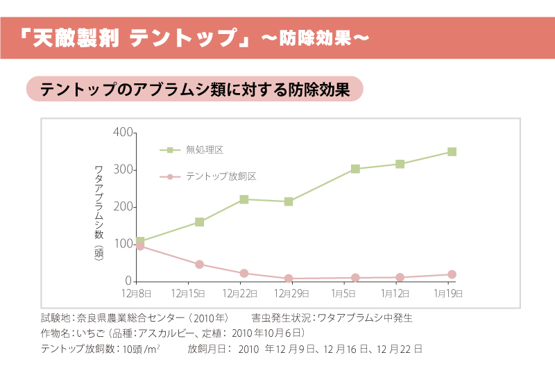 テントップ