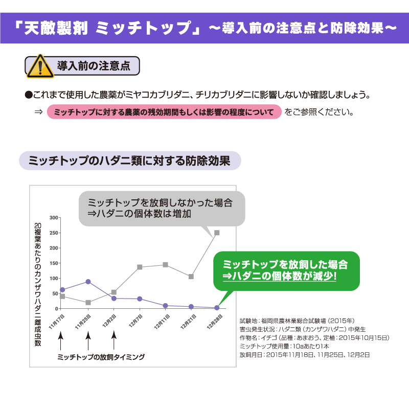 ミッチトップ