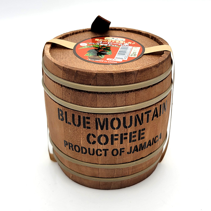 コーヒーの木 バレル栽培キット S 種から育てる栽培セット おしゃれ かわいい フォレスト カ園 DZ |  | 02