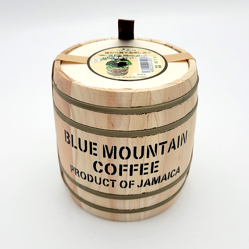 コーヒーの木 バレル栽培キット S 種から育てる栽培セット おしゃれ かわいい フォレスト カ園 DZ |  | 03