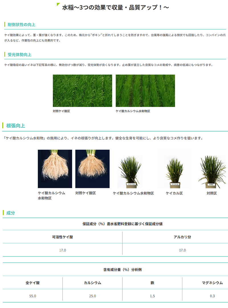 イネニカ 20kg 30袋セット 耐倒状性 水稲 タマネギ 野菜 土壌