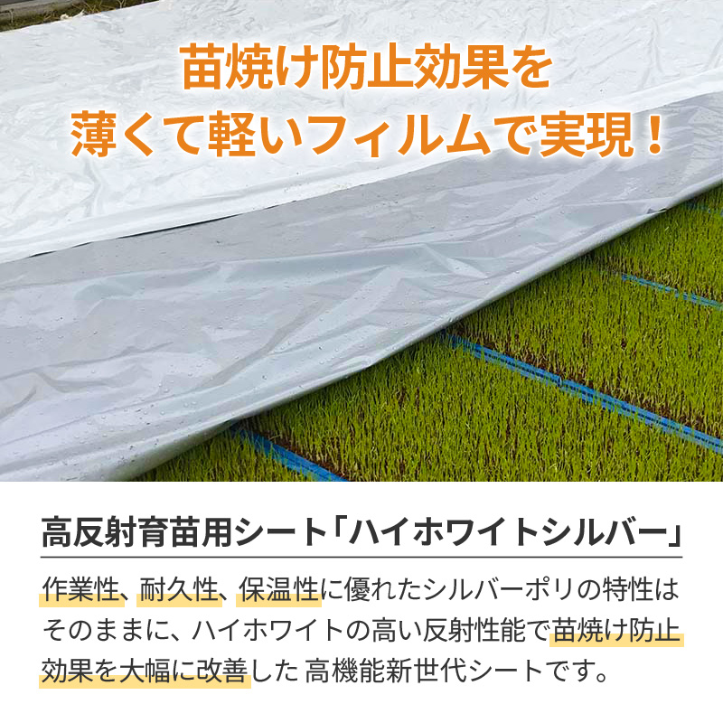 ハイホワイトシルバー