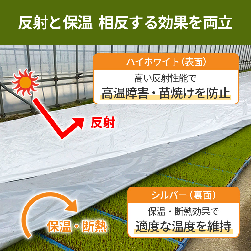 ハイホワイトシルバー