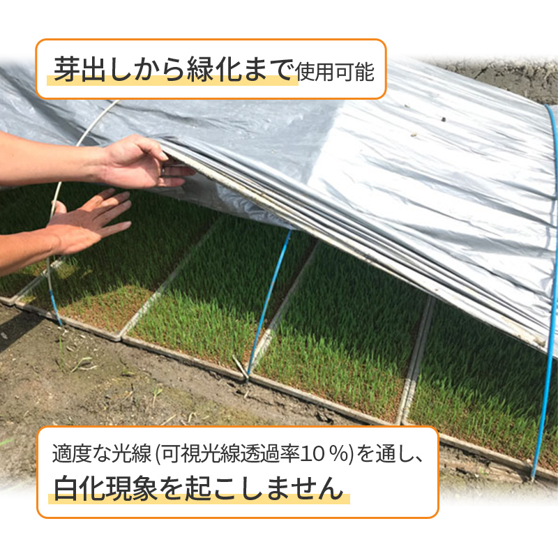 ハイホワイトシルバー