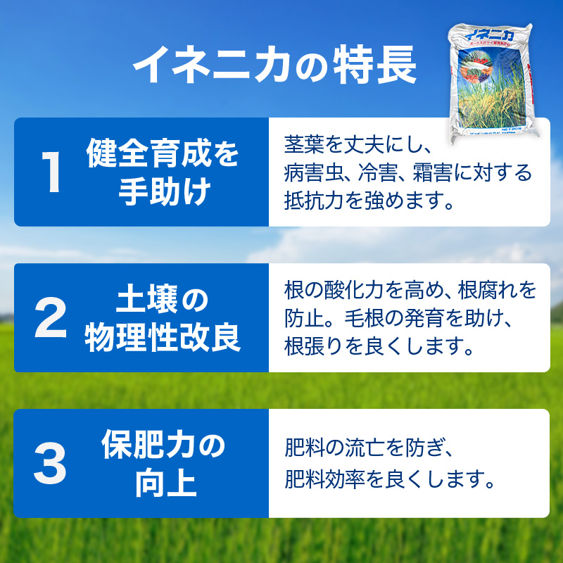 イネニカ 20kg 10袋セット 耐倒状性 水稲 稲作 稲 玉ねぎ タマネギ