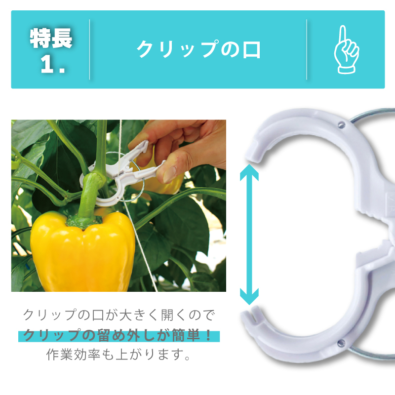 2000個 (200個×10袋) くきたっちアルファF 太紐用 麻紐用 ライト