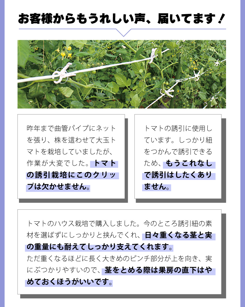 くきたっち200個