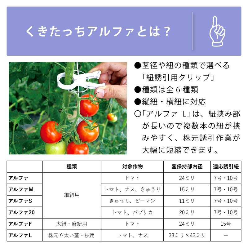 くきたっち200個