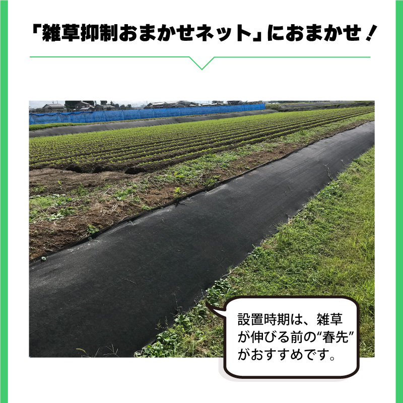 雑草抑制 おまかせネット ブラック 幅1.5m × 50m巻 耐用年数約8