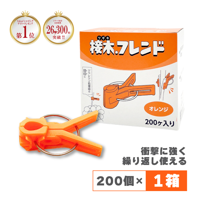 200個接木フレンドオレンジ