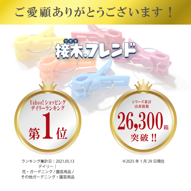 200個接木フレンドオレンジ