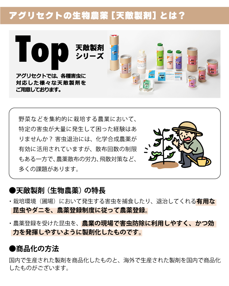コレトップ・ミヤコトップ
