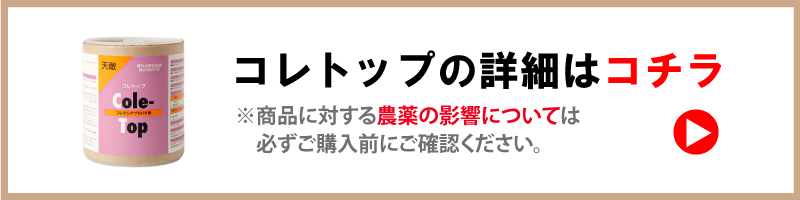 コレトップ・ミヤコトップ
