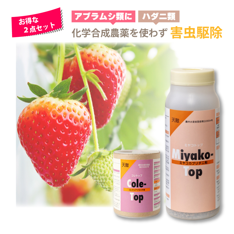 コレトップ・ミヤコトップ