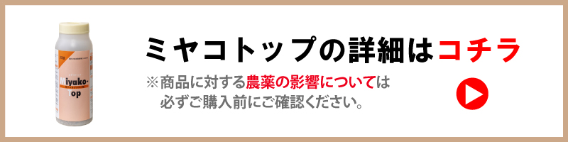 コレトップ・ミヤコトップ