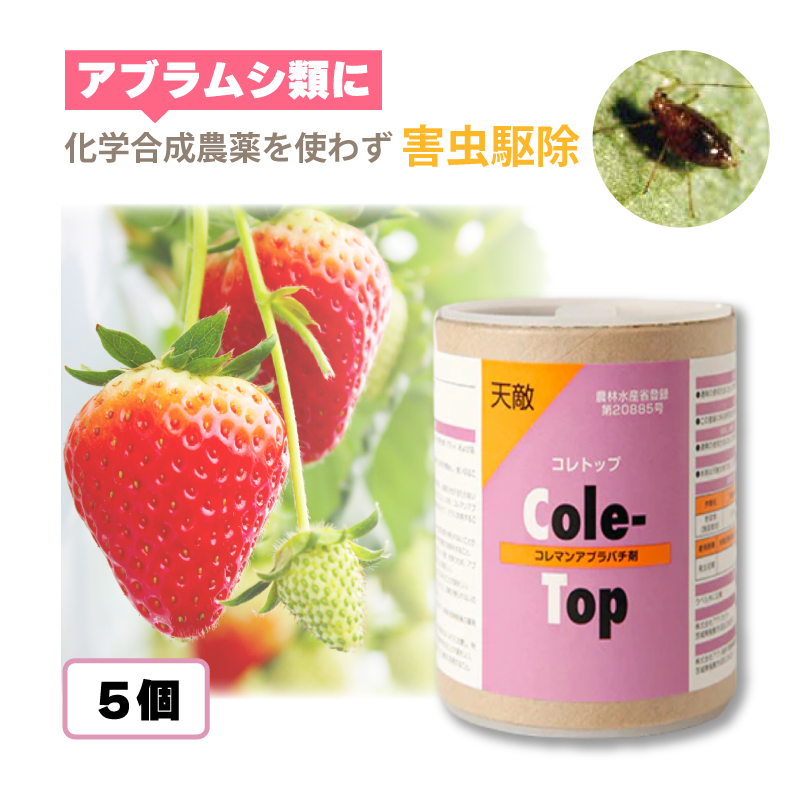 コレトップ 