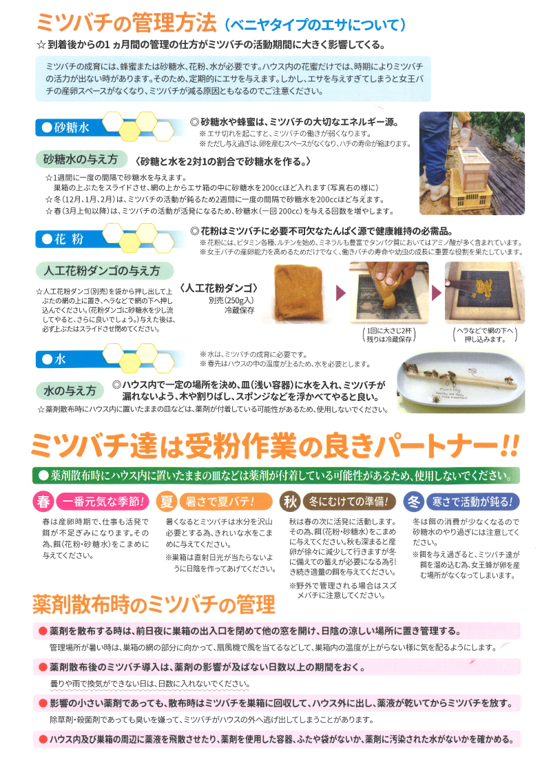 ミツバチボーヤ