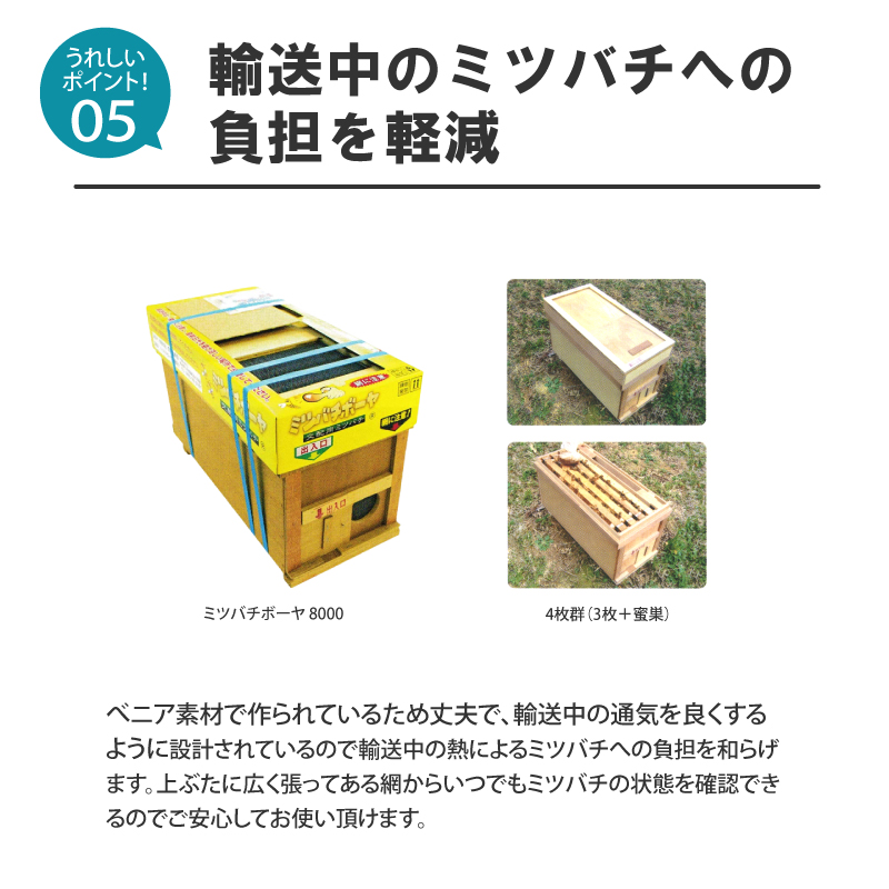 ミツバチボーヤ