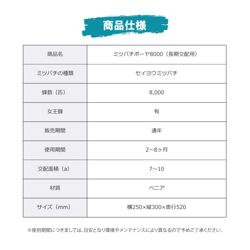 ミツバチボーヤ