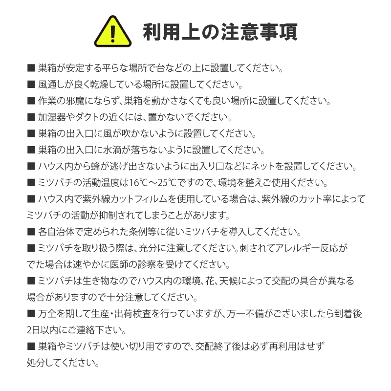ミツバチボーヤ