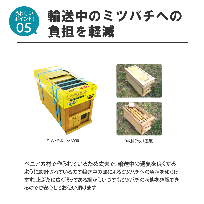 ミツバチ 受粉用 ミツバチボーヤ6000 長期 交配用 女王蜂付 蜜蜂 6000 