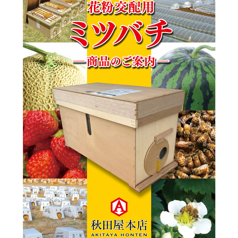 花粉交配専用ミツバチ ハウスBee 8000 長期交配型 秋田屋本店 ベニヤ