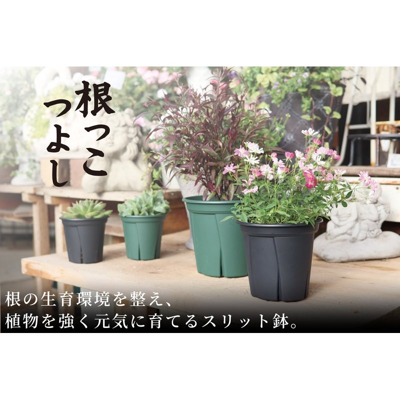 144個 鉢植え 根っこつよし 7号 アップルウェアー 直径210×180mm