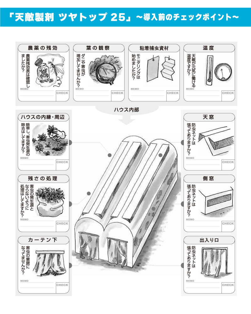 ツヤトップ25