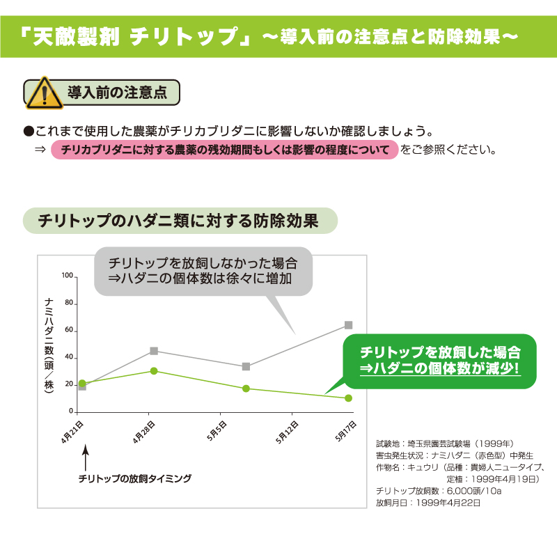 チリトップ 