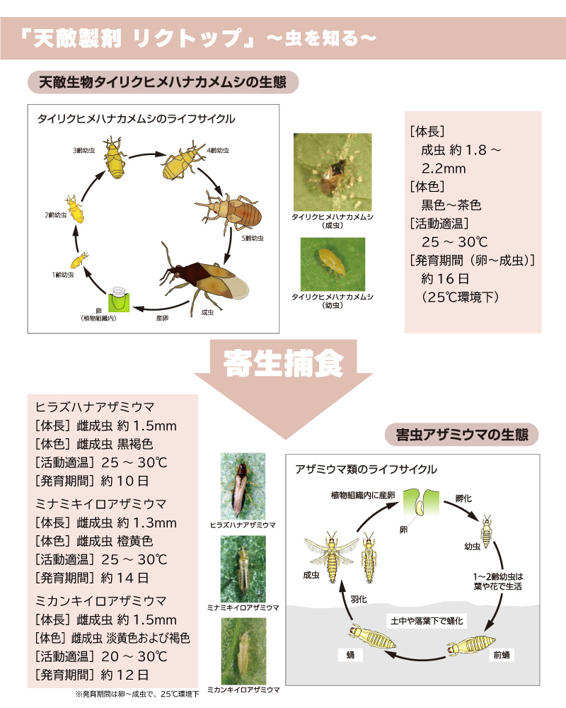 リクトップ 