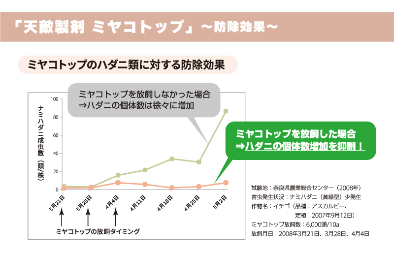 ミヤコトップ 