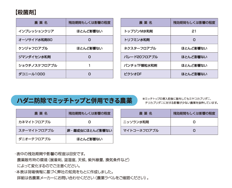 ミッチトップ