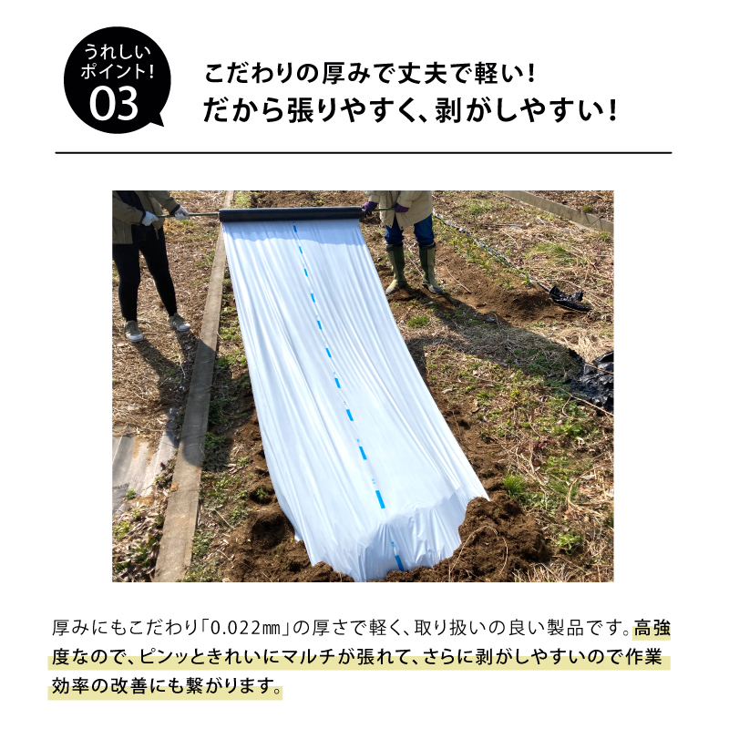 白黒マルチ 幅150cm シャイニングゼブラ 国産 穴なし センターライン入