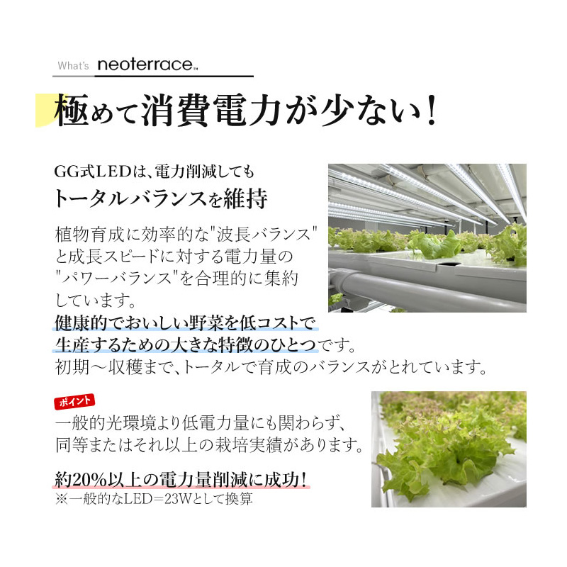 組み立てが楽！／ 水耕栽培キット ネオテラス LED一体型完全室内用栽培