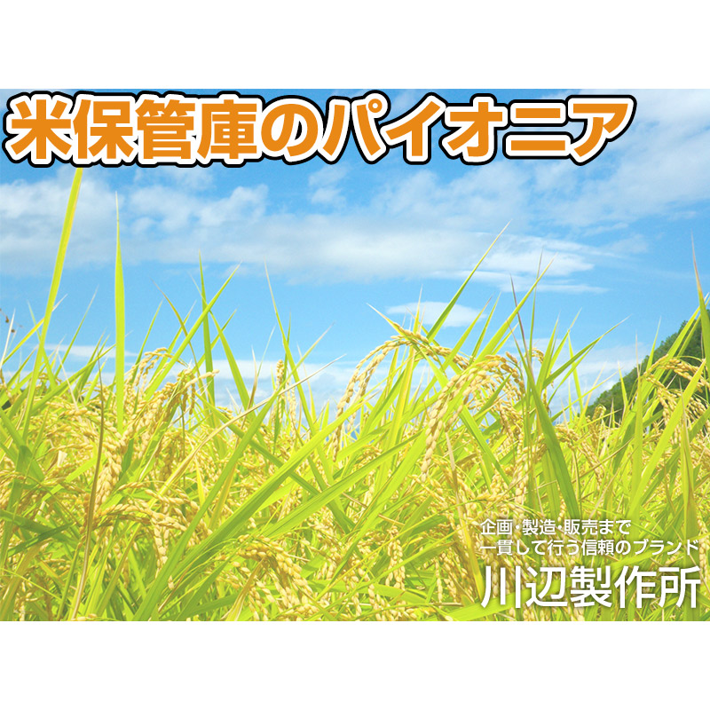 通販でクリスマス 総桐米保管庫 6俵用 30kg入袋で12袋 FN-06 除湿換気ファン付 組立式 川辺製作所 防湿 防カビ ネズミ等 害獣対策 保管  保存 FN06 代引不可 保冷庫、保管庫 - raffles.mn